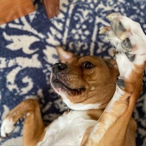 Meet your Posher, Gianna